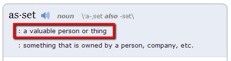 Webster's definition of 'asset'