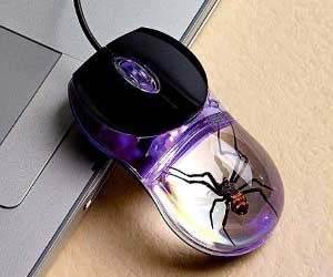 Spider Mouse